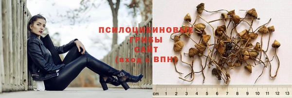 ECSTASY Горнозаводск