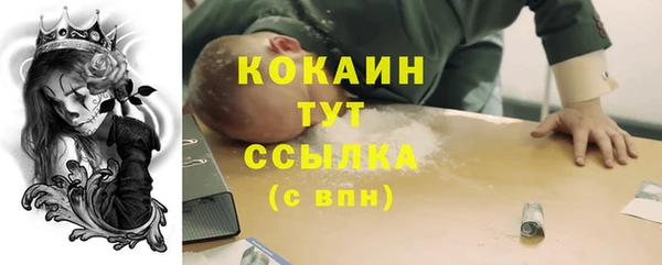 винт Горняк