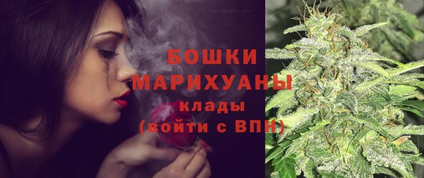винт Горняк