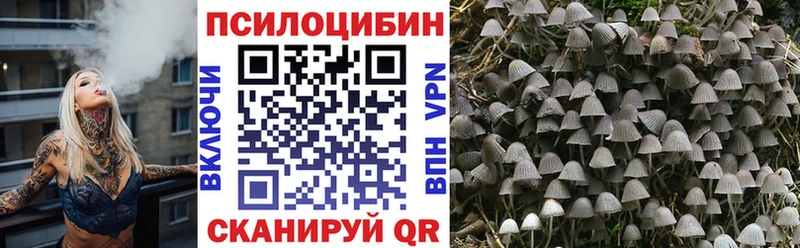 Купить  Белорецк  Псилоцибиновые грибы Psilocybe 
